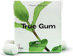 True Gum mit Geschmack Minze Ohne Zuckerzusatz 1Stück 21gr