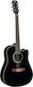 Eko Ηλεκτροακουστική Κιθάρα Ranger CW EQ Cutaway Black