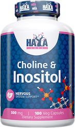 Haya Labs Colină și Inozitol 500mg 100 Capsule Pe Bază De Plante