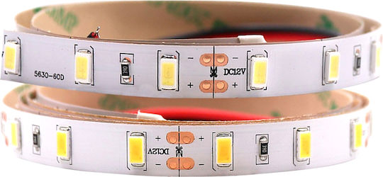 Αδιάβροχη Ταινία LED ILL 12V Φυσικό Λευκό Φως 5m Τύπου SMD5630