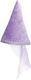 Carnival Hat Purple