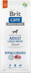 Brit Care Adult Large Breed Hypoallergenic 12kg Ξηρά Τροφή για Ενήλικους Σκύλους Μεγαλόσωμων Φυλών με Αρνί
