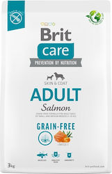 Brit Care Skin & Coat Adult 3kg Dry Food Grain Free for Adult Dogs with Potatoes and Salmon