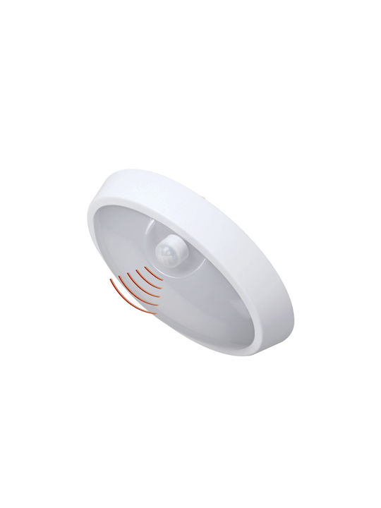 Waterproof Wall-Mounted Outdoor Ceiling Light IP54 with Integrated LED White