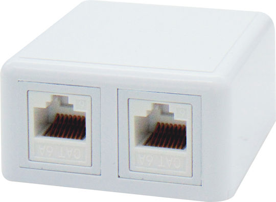 Διπλή Εξωτερική Πρίζα Δικτύου RJ45 Τύπου Cat6 σε Λευκό Χρώμα 01.075.0112