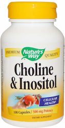 Nature's Way Choline & Inositol 500mg 100 caps