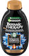 Garnier Botanic Therapy Magnetic Charcoal Șampoane pentru Uleios Păr 1x400ml