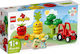 LEGO Duplo Obst- und Gemüse-Traktor für 1,5+ Jahre