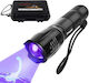 Wiederaufladbar Taschenlampe LED UV Wasserdicht mit maximaler Helligkeit 300lm Trizand XPE