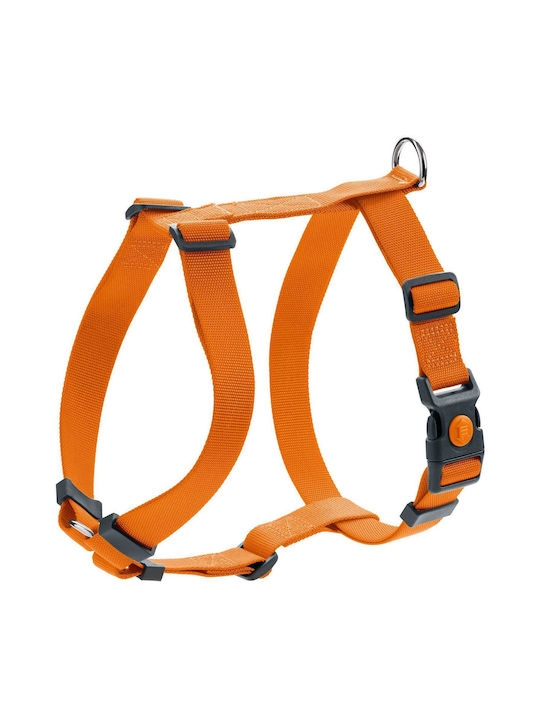 Hunter London Vario Rapid X-Small / XX-Small 32-52cm Hunter London Vario Rapid X-Small / XX-Small 32-52cm