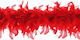 Carnival Boa Red