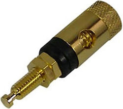 Ultimax Borna Gold Plated 20mm BI-3620G 01.092.0026 Ultimax Borna Gold Plated 20mm BI-3620G 01.092.0026
