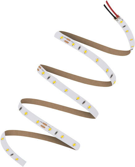 Ledvance LED Strip V-2000 24V Warm White Light 5m Type SMD2835