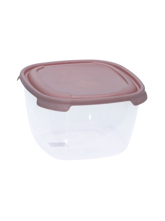 Viosarp Lunchbox Kunststoff Transparent 2800ml 1Stück