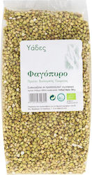 Yades Bio Семена Елда 500гр