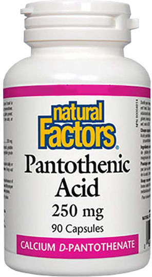 Natural Factors Pantothenic Acid Vitamin for Nervous System Health 250mg 90 caps