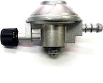 Reca Medium Pressure Gas Regulator