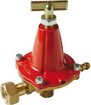 Low Pressure Gas Regulator 12 kg/h