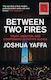 Between Two Fires, Истината, амбициите и компромисите в Русия на Путин