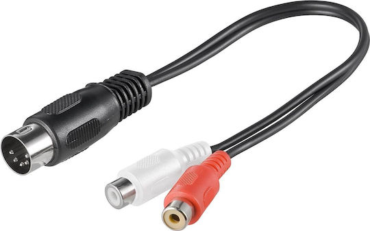 Goobay Μετατροπέας DIN male σε RCA 2x female 1τμχ 50002