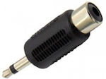 Converter 3.5mm male to RCA female 1pcs (JT-3174)