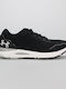 Under Armour HOVR Sonic 6 Sport Shoes Running Black