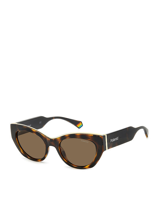 Polaroid Women's Sunglasses with Brown Tartarug...