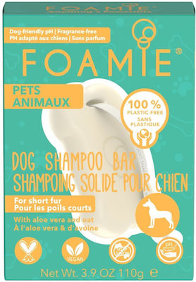 Foamie Hundeshampoo für Hunde für kurzes Haar 110gr
