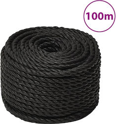 vidaXL Rope with Diameter 20mm and Length 100m Black Work Rope 20mm 100m made of Polypropylene 153031