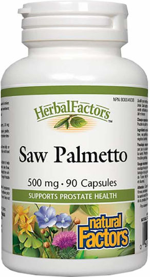 Natural Factors Saw Palmetto 500mg 90 Mützen