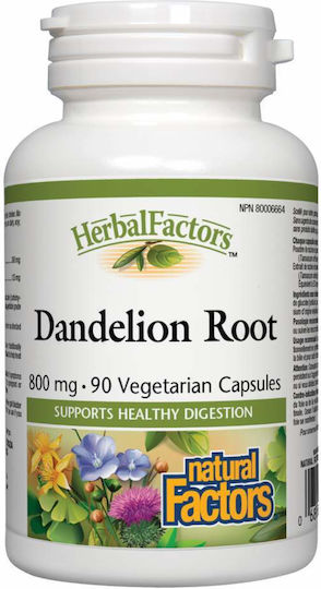 Natural Factors Dandelion Root 800мг 90 вегетариански капсули