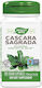 Nature's Way Cascara Sagrada 100 вегетариански капсули