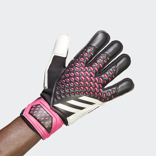 adidas Predator Match Torwarthandschuhe Erwachsene Schwarz