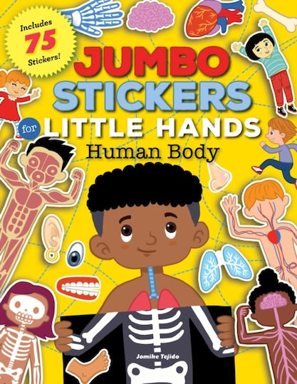 Human Body