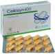 Vitaspis Cellasyn 400 400mg 30 caps
