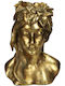 JK Home Decoration Planter Gold 19.5x15x26.3cm.