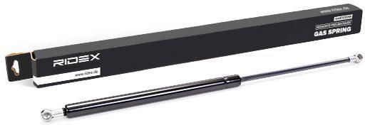 Magneti Marelli Trunk Shock for Ford Focus