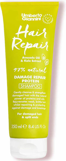 Umberto Giannini Hair Repair Shampoos für Zerbrechlich Haare 250ml