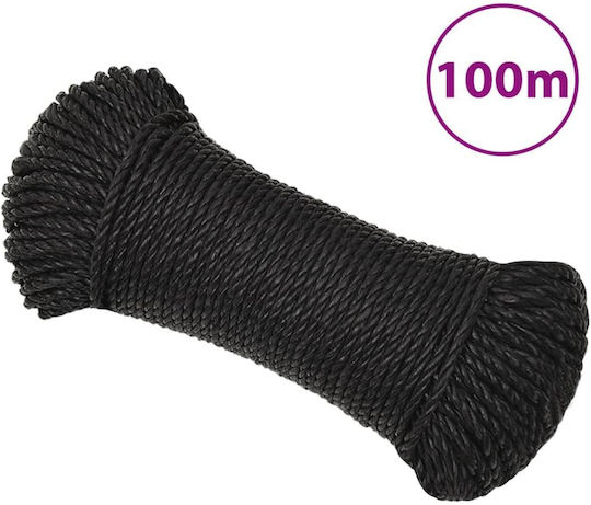 vidaXL Rope Diameter 6mm Length 100m Black Work Rope Black 6mm 100m Polypropylene