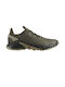 Alphacross 4 GTX Bărbați Pantofi sport Trail Running Verzi Impermeabile cu Membrană Gore-Tex