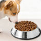 Edelstahl Schalen Wasser für Hund & Katze 200ml 15cm in Silber Farbe