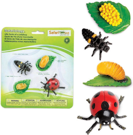 Safari Ltd Life Cycle of a Ladybug Εκπαιδευτικό Παιχνίδι Γνώσεων για 4+ Ετών