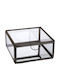 JK Home Decoration Διακοσμητικό Κουτί Μεταλλικό Terrarium Μαύρο 6x6x13cm