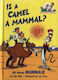Is a Camel a Mammal?
