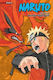 Naruto Bd. 17