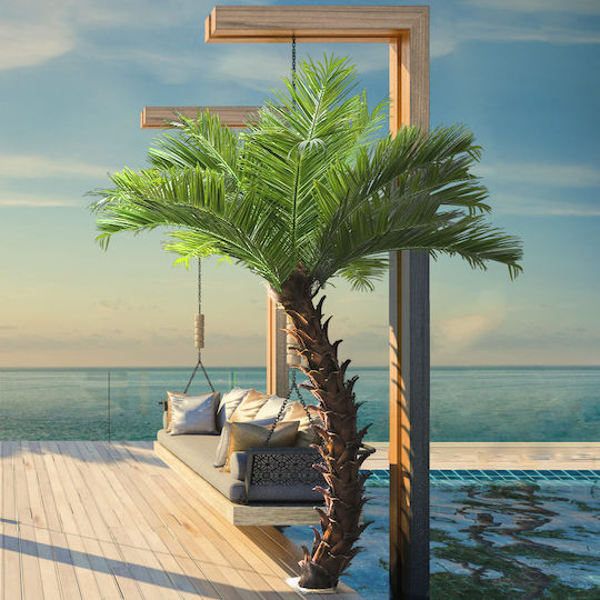 Outdoor Palm Tree GloboStar