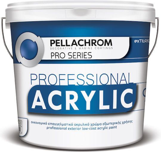 Pellachrom Professional Acrylic Plastic Acrilyc Paint for Exterior Use Grey 9lt