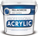 Pellachrom Professional Acrylic Plastic Acrilyc Paint for Exterior Use Red 3lt