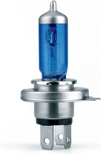 Simoni Racing Lampen Auto H11 12V 55W 1Stück