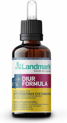 Landmark Diur Formula Συμπλήρωμα Διατροφής Σκύλου Σιρόπι 100ml